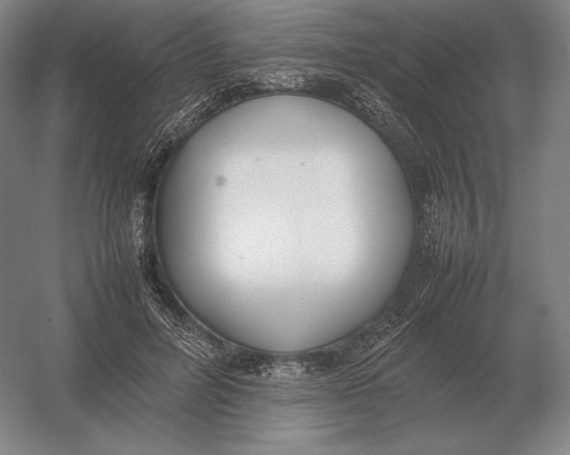 X0000054390600200508270036