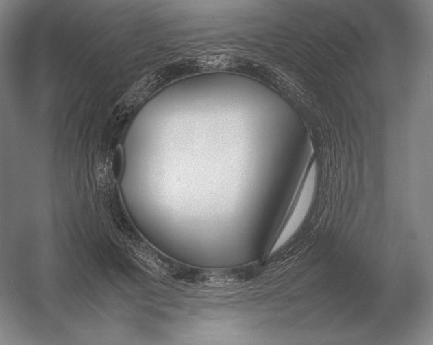 X0000054390601200508270036