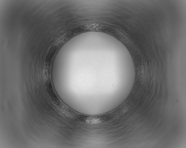 X0000054390602200508270036