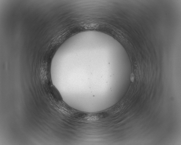 X0000054390604200508270036
