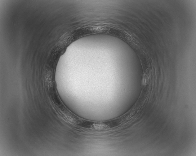 X0000054390605200508270036