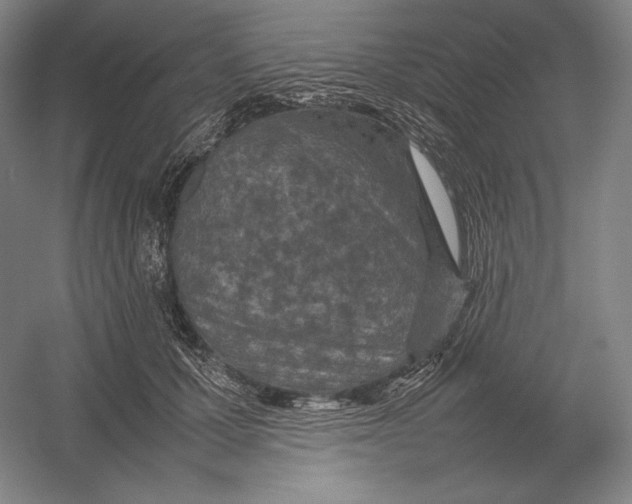 X0000054390607200508270036