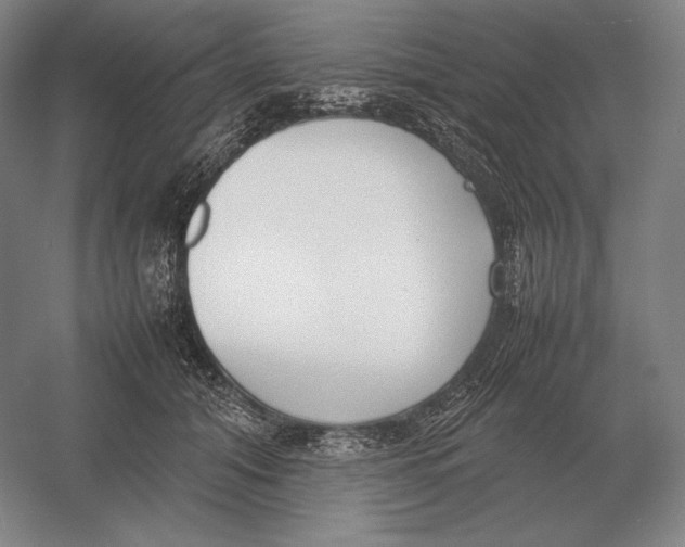 X0000054390608200508270036