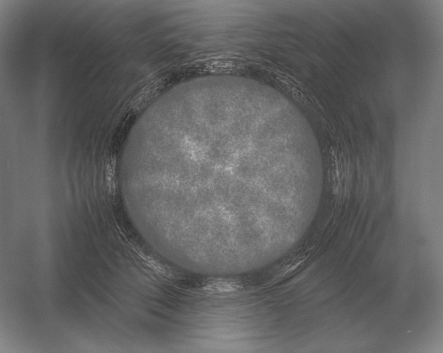 X0000054390610200508270036