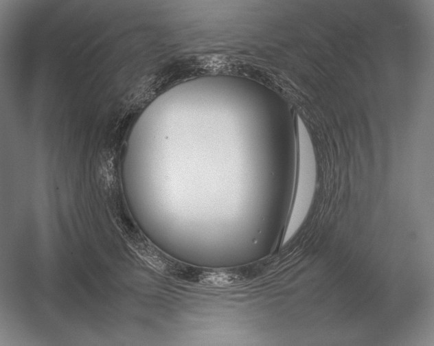 X0000054390611200508270036