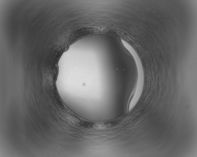 X0000054390613200508270036