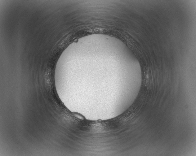 X0000054390616200508270035