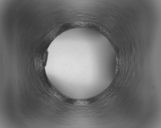 X0000054390617200508270035