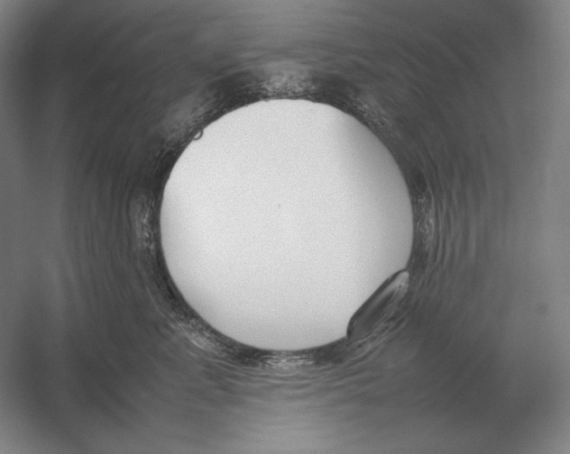 X0000054390619200508270035