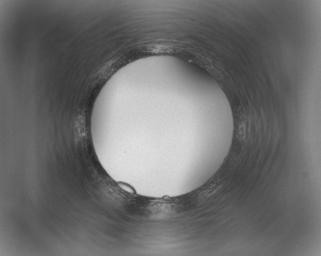 X0000054390620200508270035