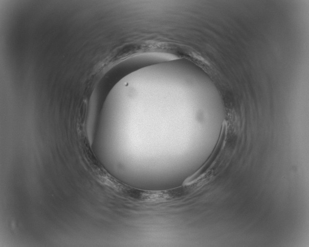 X0000054390621200508270035