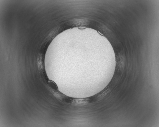 X0000054390622200508270035
