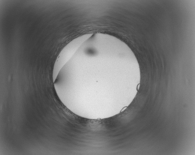 X0000054390624200508270035