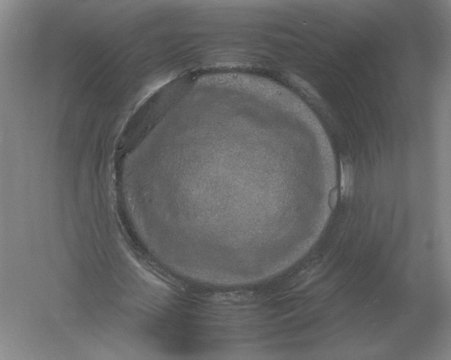 X0000054390627200508270035