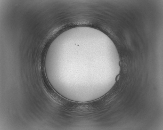X0000054390631200508270035