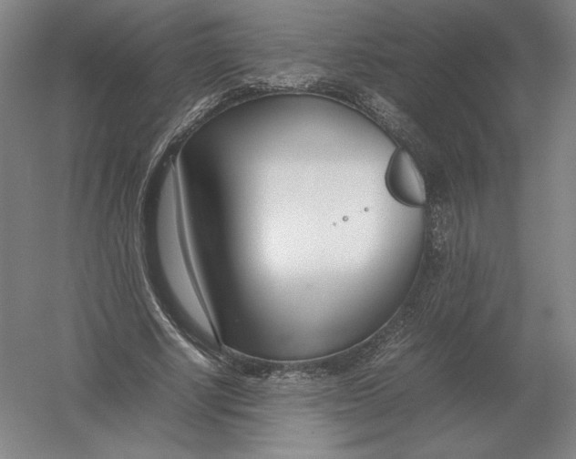 X0000054390634200508270035