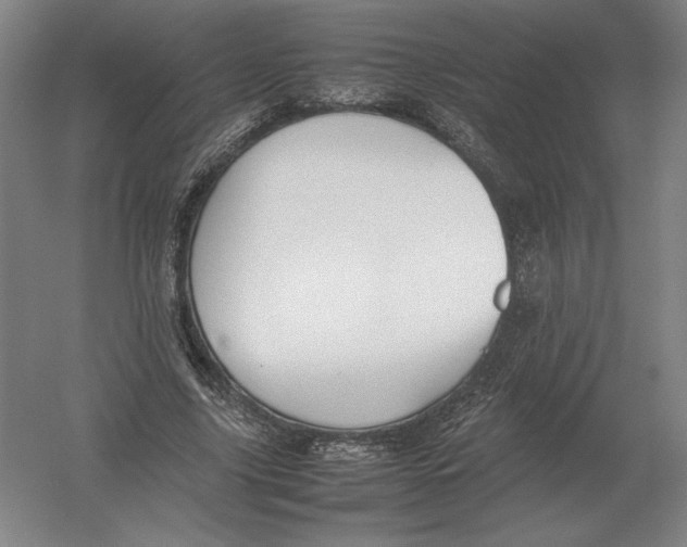 X0000054390635200508270035