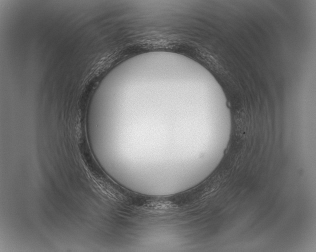 X0000054390642200508270035