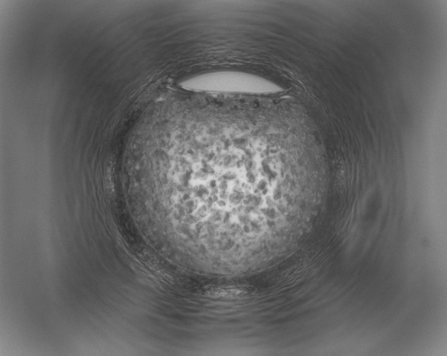 X0000054390643200508270035