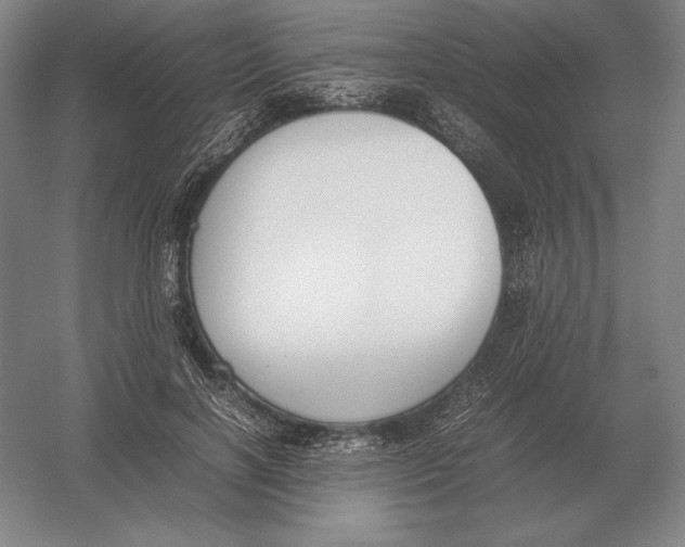 X0000054390646200508270035