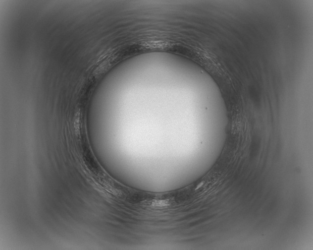 X0000054390647200508270035