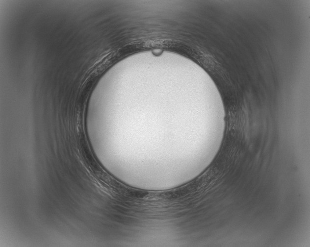 X0000054390648200508270035