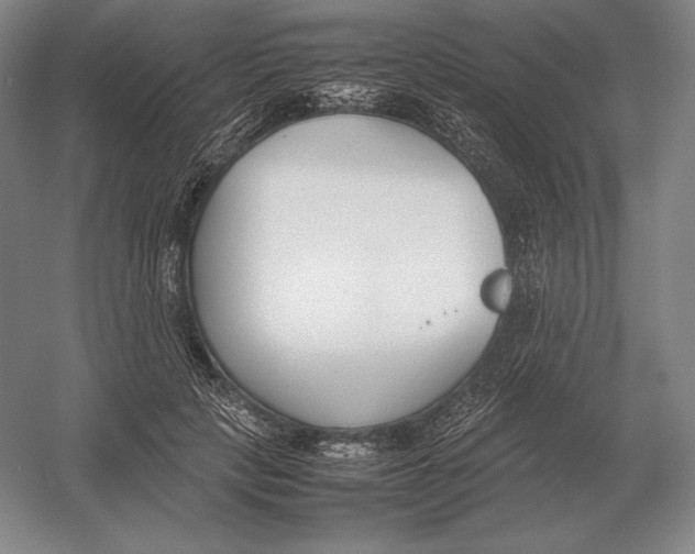X0000054390649200508270035