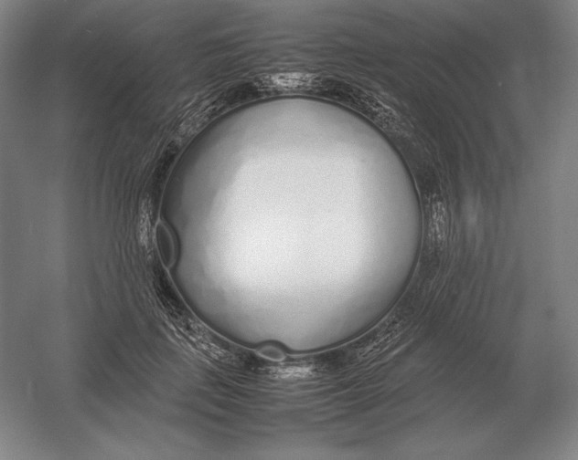 X0000054390651200508270035