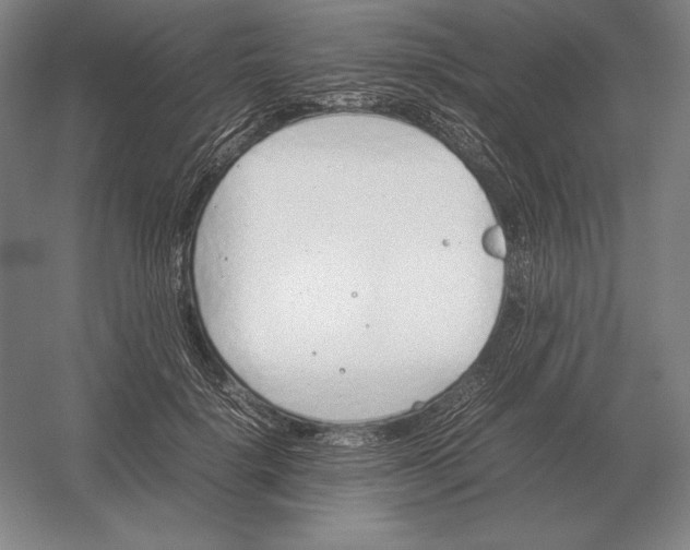 X0000054390652200508270035