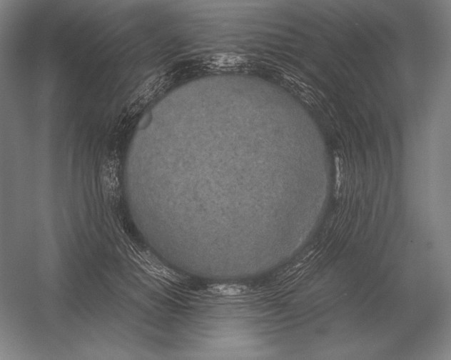 X0000054390654200508270035