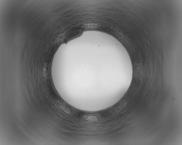 X0000054390655200508270035
