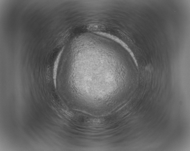 X0000054390659200508270035