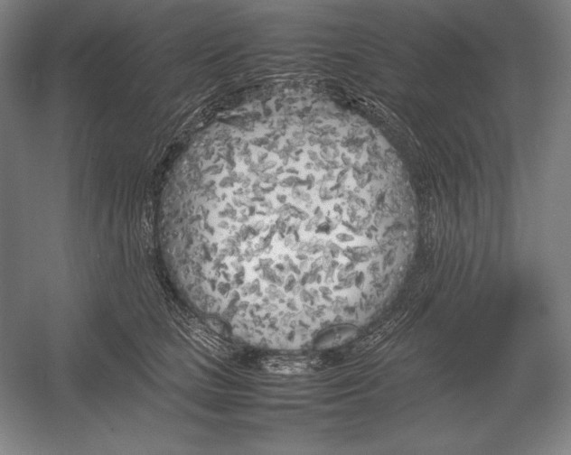 X0000054390661200508270035