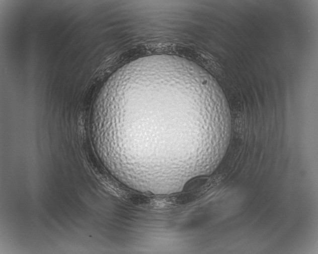 X0000054390662200508270035