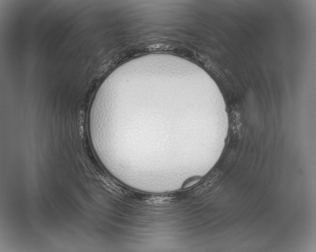 X0000054390664200508270035