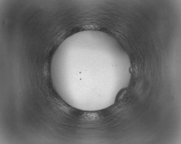 X0000054390665200508270035