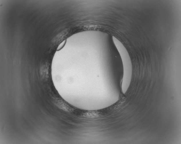 X0000054390668200508270035