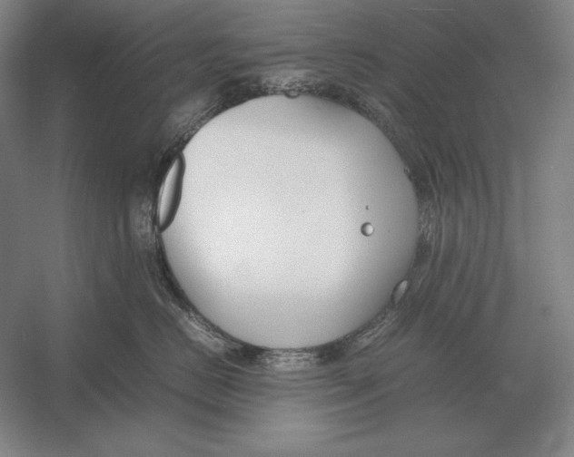 X0000054390670200508270035