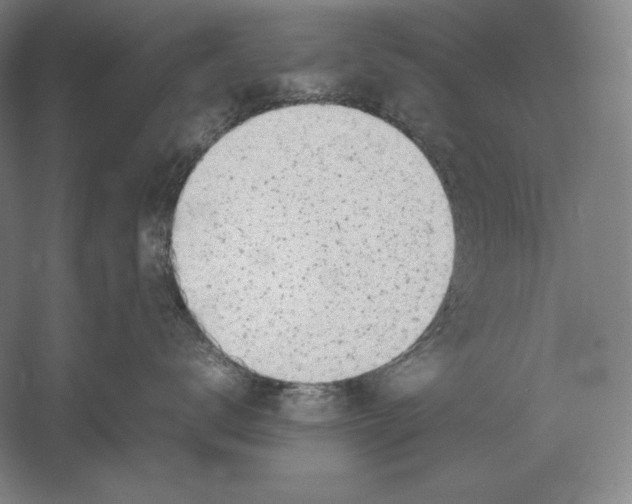 X0000054390672200508270035