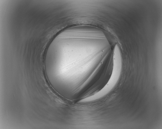 X0000054390673200508270034