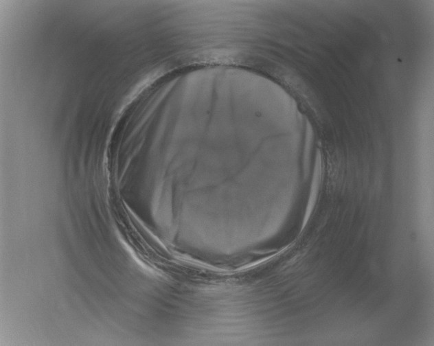 X0000054390674200508270034