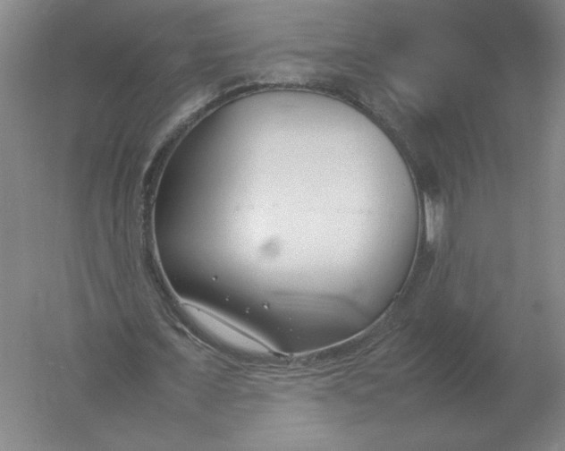 X0000054390675200508270034