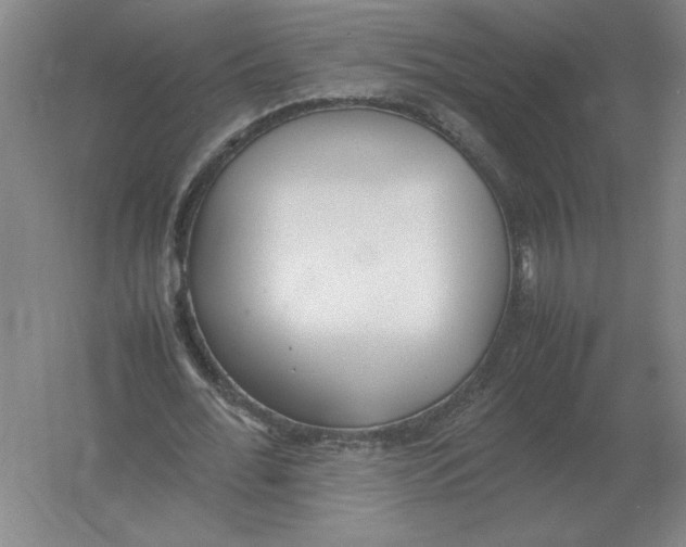 X0000054390676200508270034