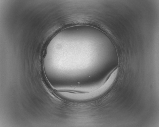 X0000054390677200508270034