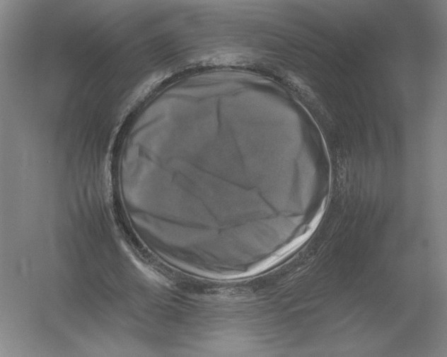 X0000054390678200508270034
