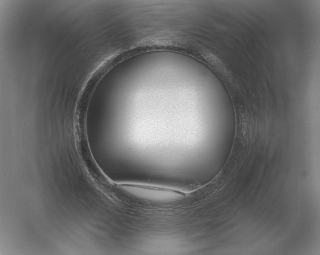 X0000054390680200508270034