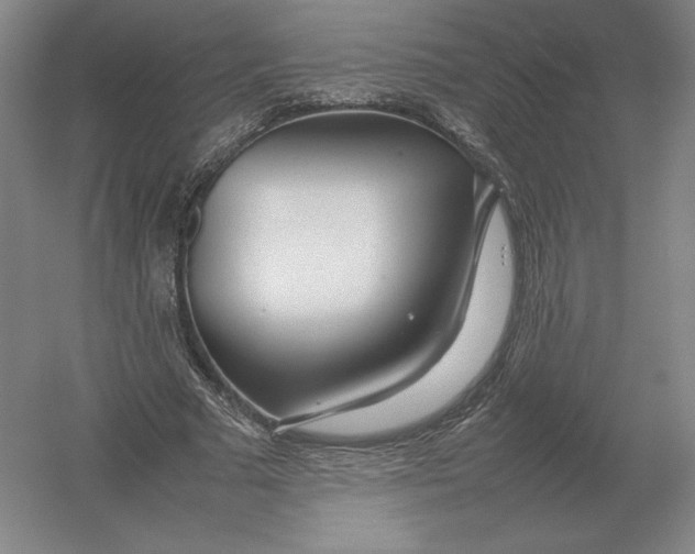 X0000054390681200508270034