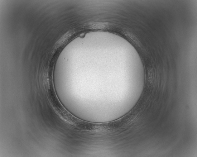 X0000054390682200508270034