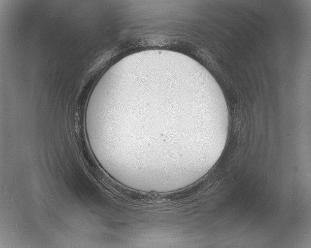 X0000054390683200508270034