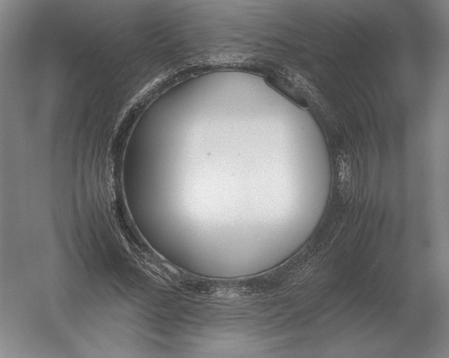 X0000054390684200508270034